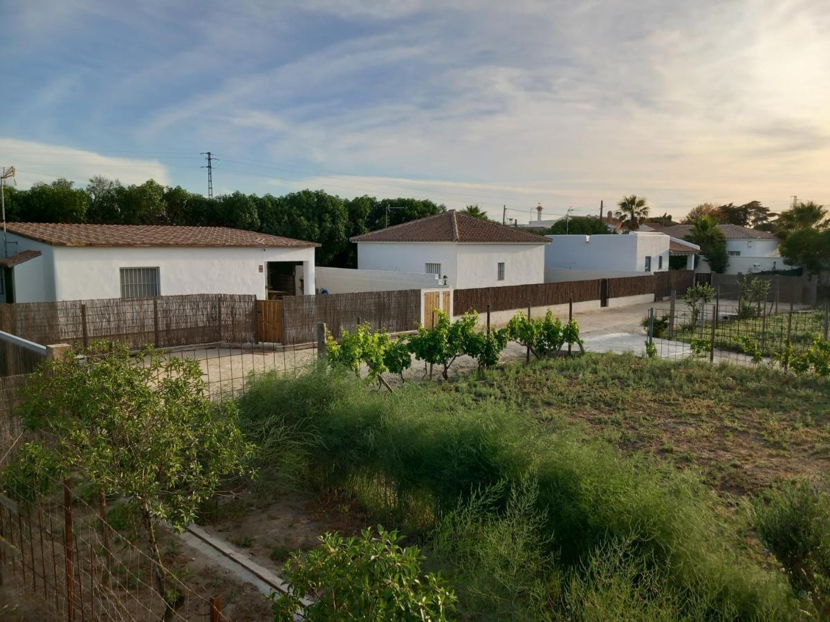 Apartamentos Cala Isabel ซาโฮรา ภายนอก รูปภาพ